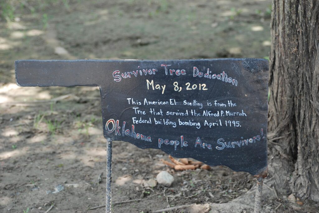 The Survivor Tree Vian Tenkiller